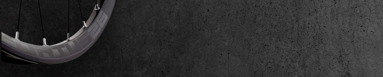 MTB | Ruedas 26" | Delantera