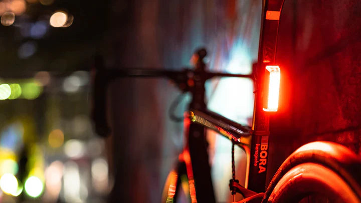 Luz trasera