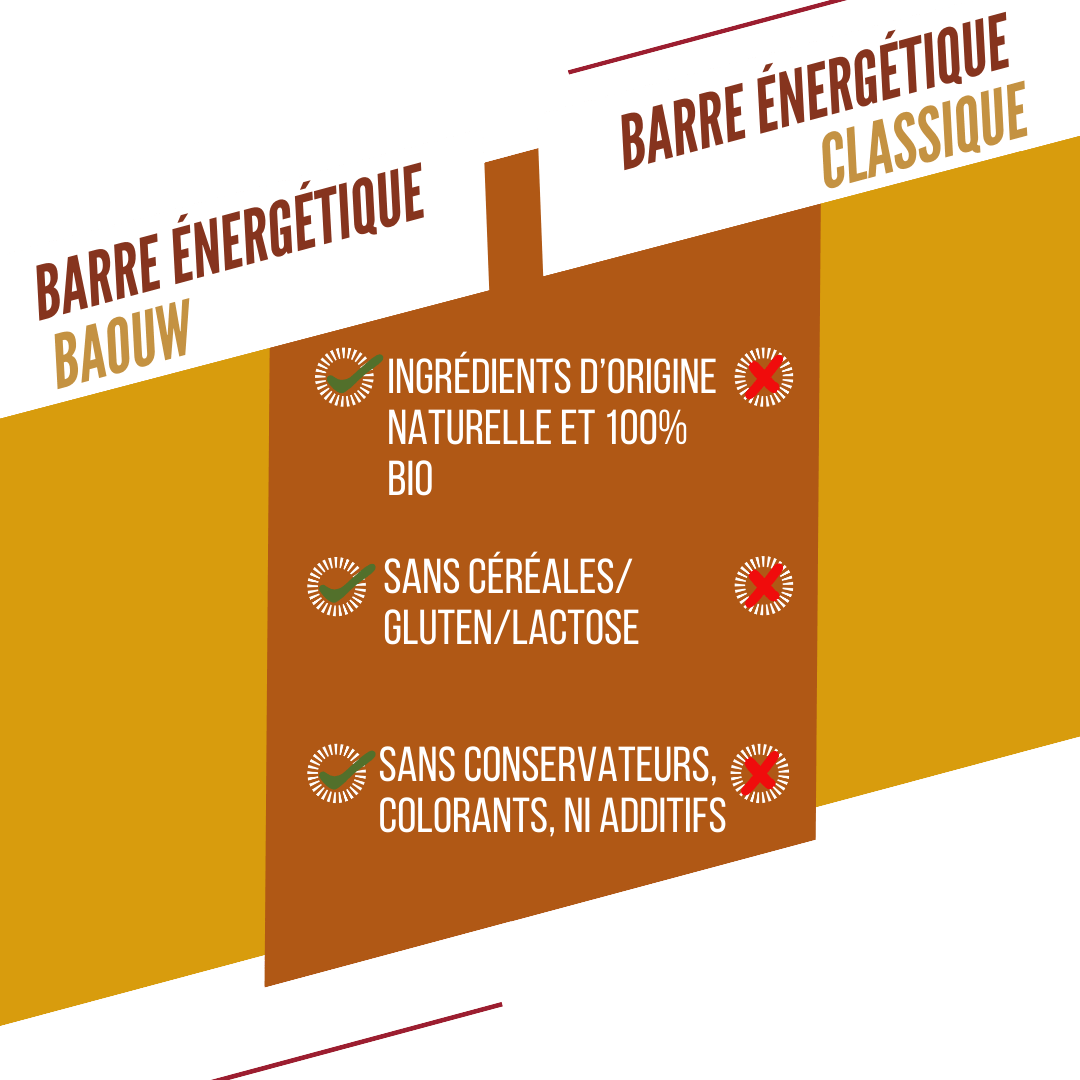 BAOUW BIO EXTRA Barrita energética de mango y anacardos (50g)
