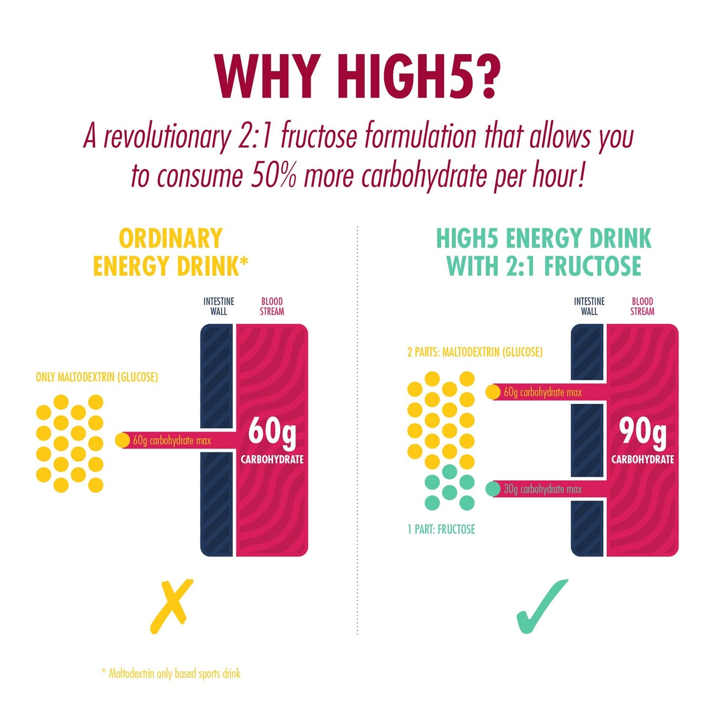 BEBIDA ENERGÉTICA High5 (1kg) Frutos Rojos
