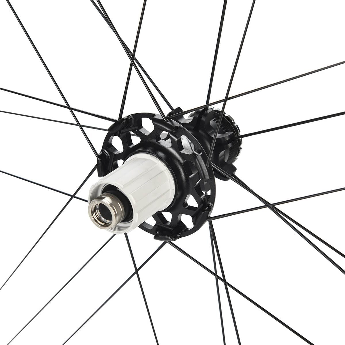Par de llantas CAMPAGNOLO ZONDA DISC Limited Edition con neumáticos (Center Lock)