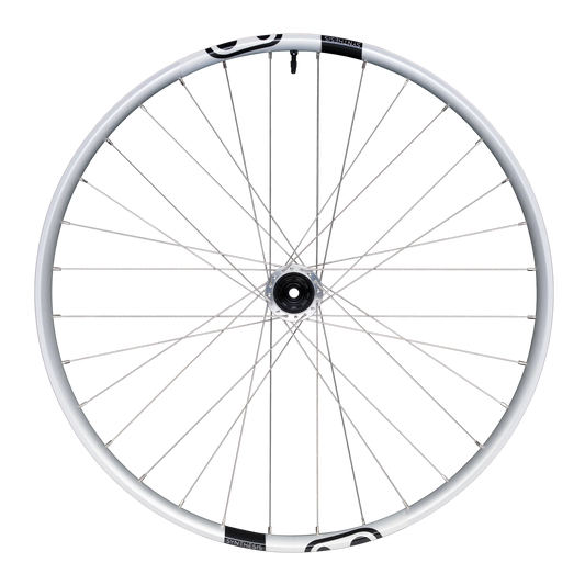 Rueda trasera CRANKBROTHERS SYNTHESIS Aluminio 2.0 E-BIKE I9 29" 12x148 mm Boost Plata