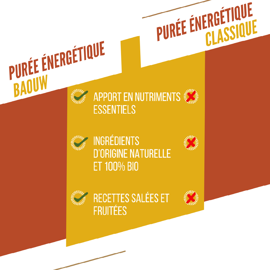 BAOUW Receta Ecológica Puré Energético de Mango/Pasión/Jengibre (90g)