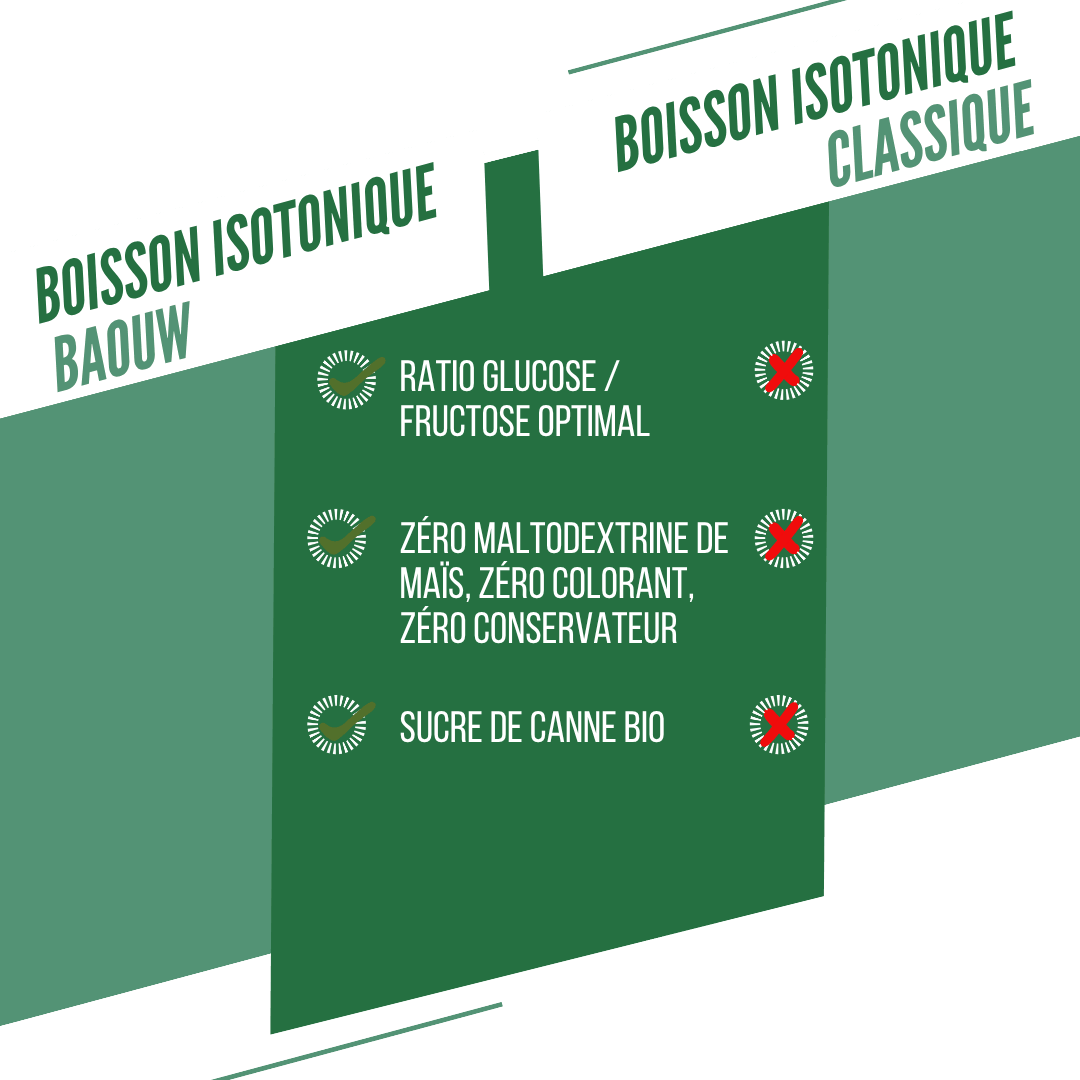 BAOUW ISOTONIC Bebida Energética (45g) Menta/Melisa