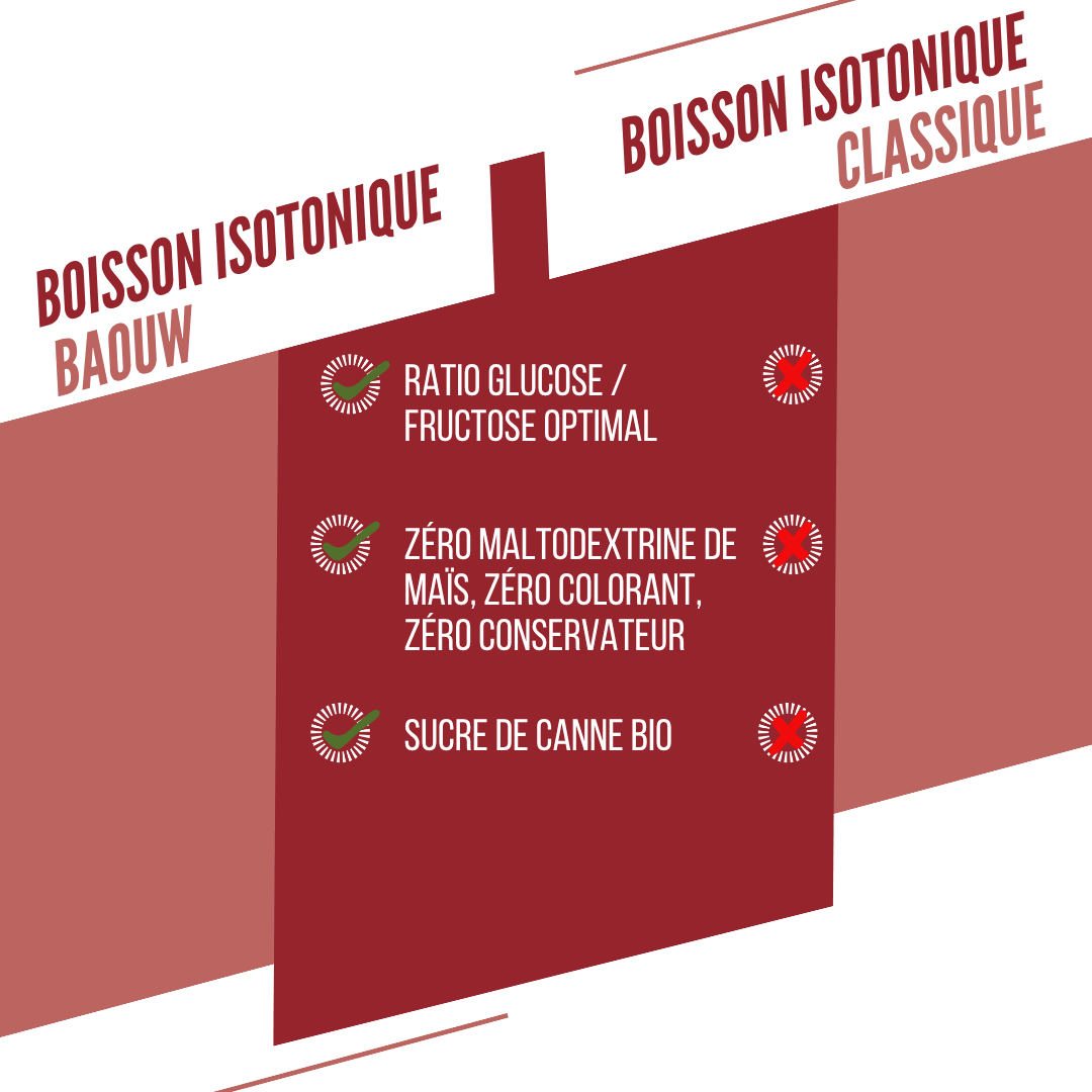 BAOUW ISOTONIC Bebida Energética (45g) Sandía/Granada