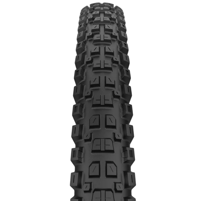 Neumático CAST PROTAGONIST 29x2.40 DualWall Smart Evo DH Tubeless Ready