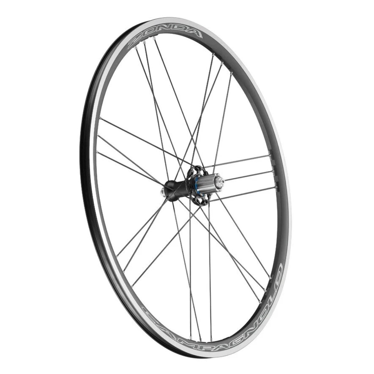 CAMPAGNOL ZONDA Rueda trasera