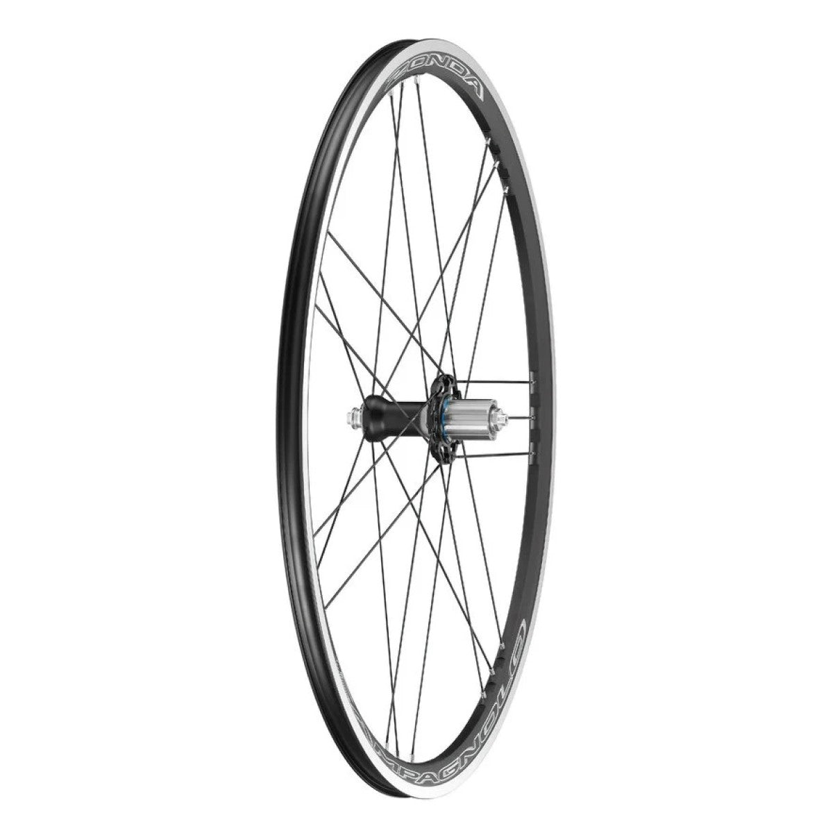 CAMPAGNOL ZONDA Rueda trasera