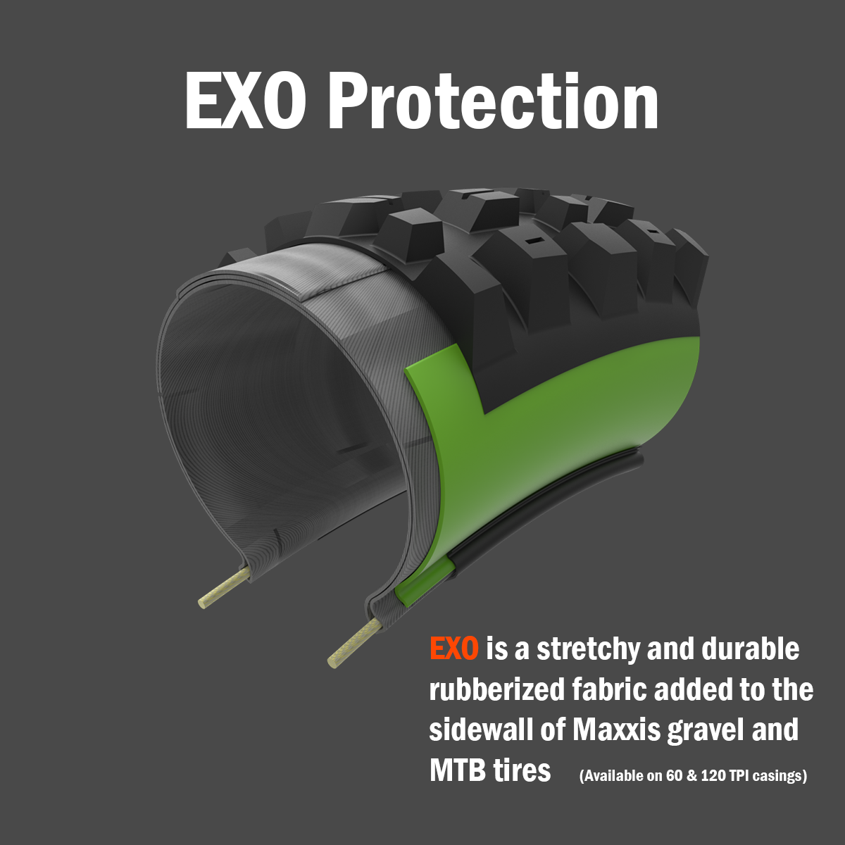 Protección MAXXIS EXO - vista en sección