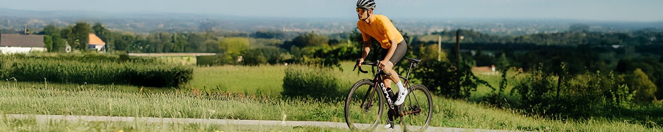 LIQUIDACIÓN | CASTELLI