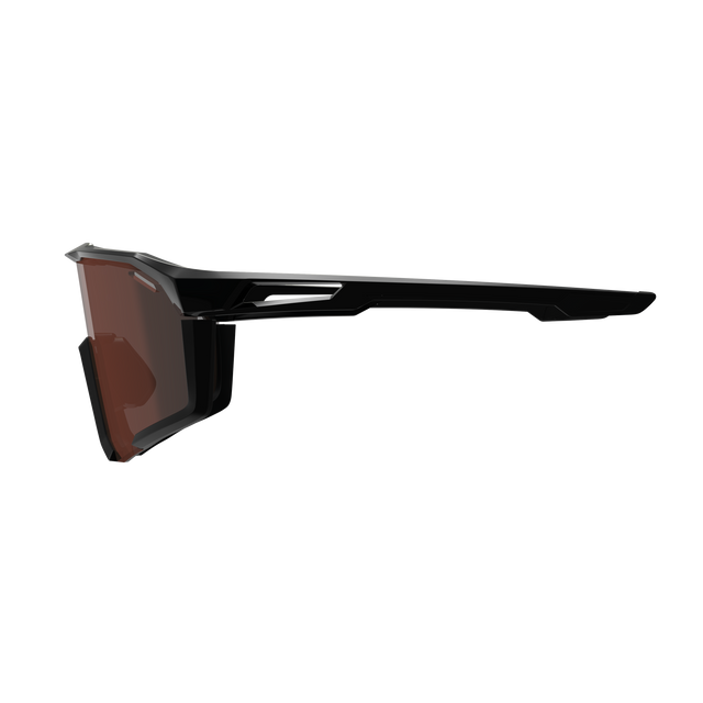 Gafas LEATT SPEEDVIZ PRO Negro satinado IRIZ Plata 30 VLT