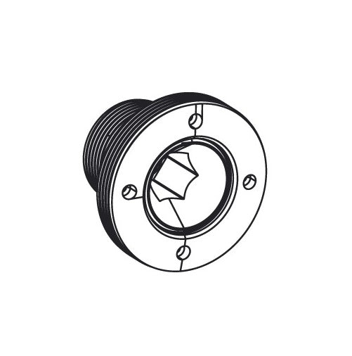 SRAM XX/XX-SL D1 M18/M30 DUB Tornillo de biela autoextraíble gris