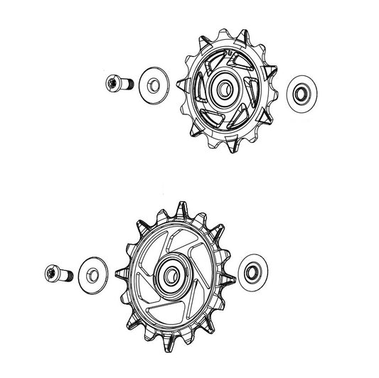 SRAM XX-SL T-TYPE EAGLE AXS / RED XPLR E1 12 Speed Rear Derailleur Cages