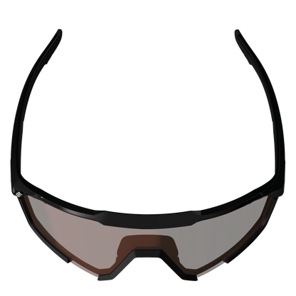 Gafas LEATT SPEEDVIZ PRO Negro Satinado Lente Fotocromática Iriz Plata