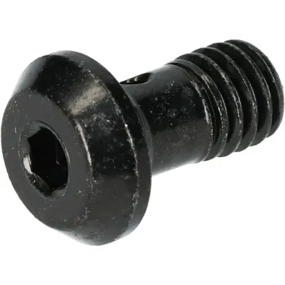 Tornillo banjo SHIMANO BR-M8100