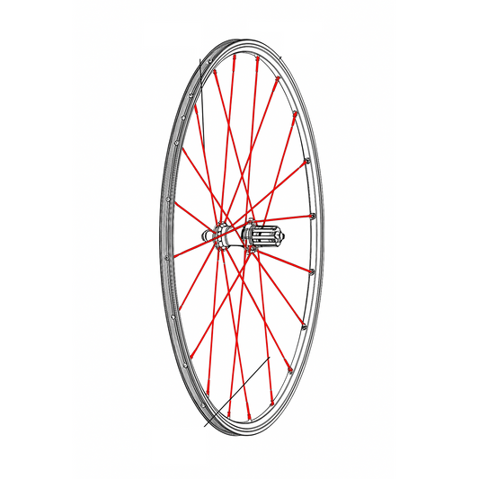 KIT DE 12 RADIOS TRASEROS MAVIC CROSSRONE/CROSSRIDE FTSX 262MM