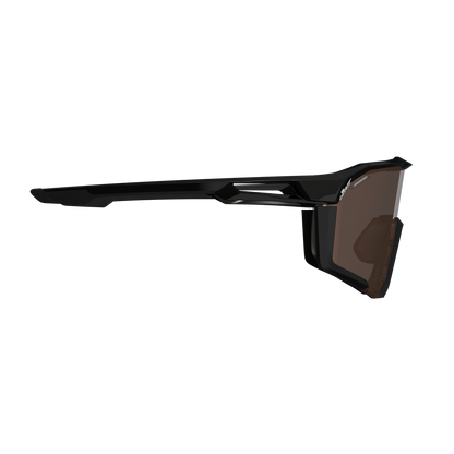 Gafas LEATT SPEEDVIZ PRO Negro Satinado Lente Fotocromática Iriz Plata