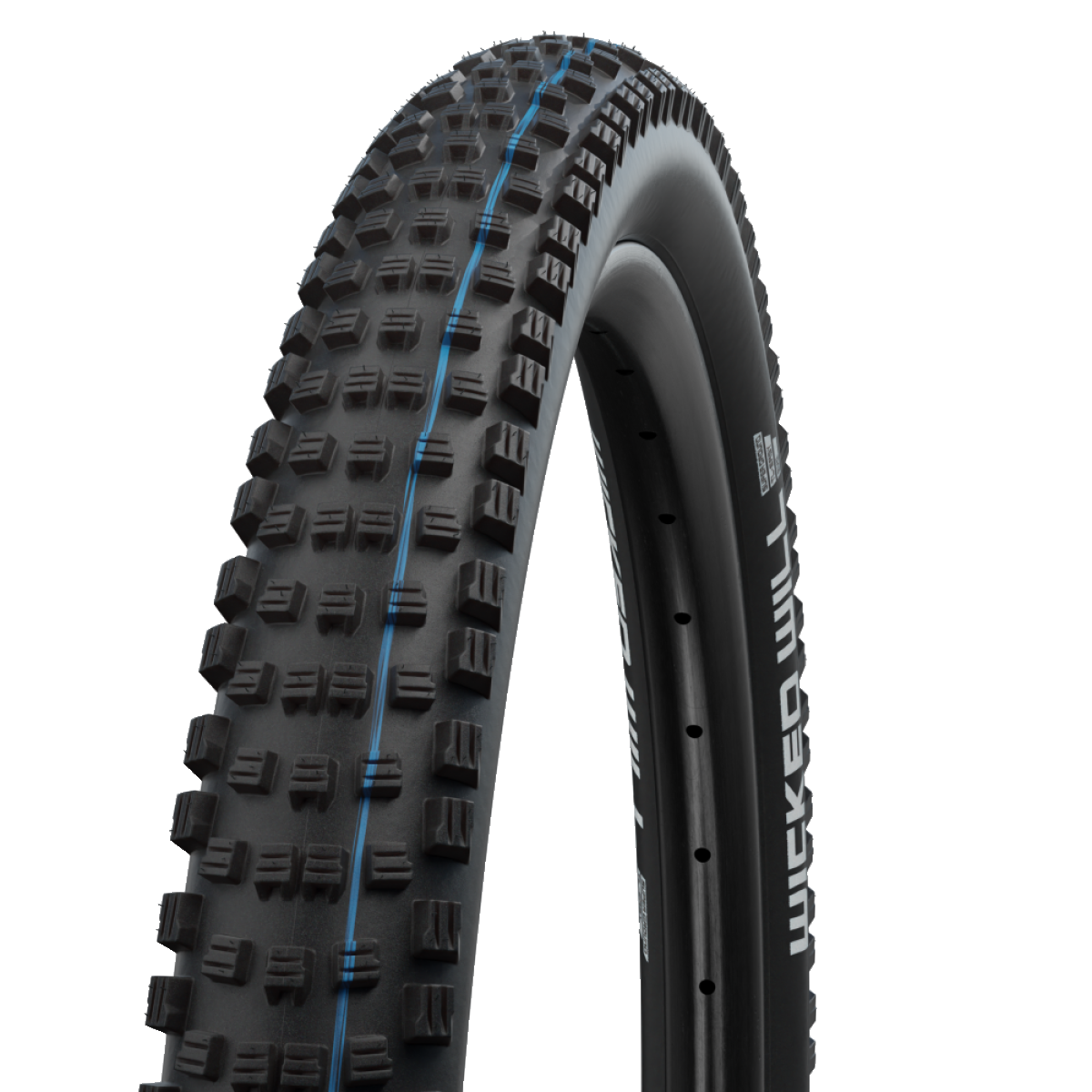 Neumático SCHWALBE WICKED WILL 29x2.60 ADDIX SPEEDGRIP SUPERGROUND Tubeless Ready Blando Negro