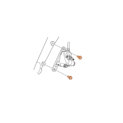 Tornillo de Fijación del Pinza Delantera SHIMANO DURA-ACE FLATMOUNT R9170