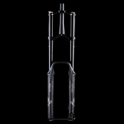 Horquilla FORMULA BELVA 29" Eje 15x110mm Boost Negro
