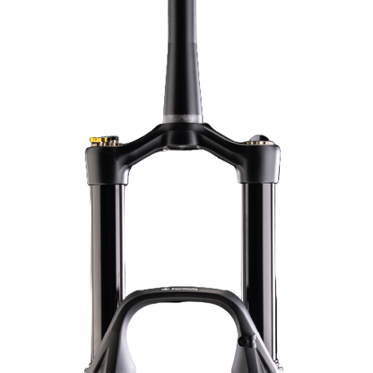 Horquilla FORMULA SELVA S 29" Eje 15x110mm Boost Negro