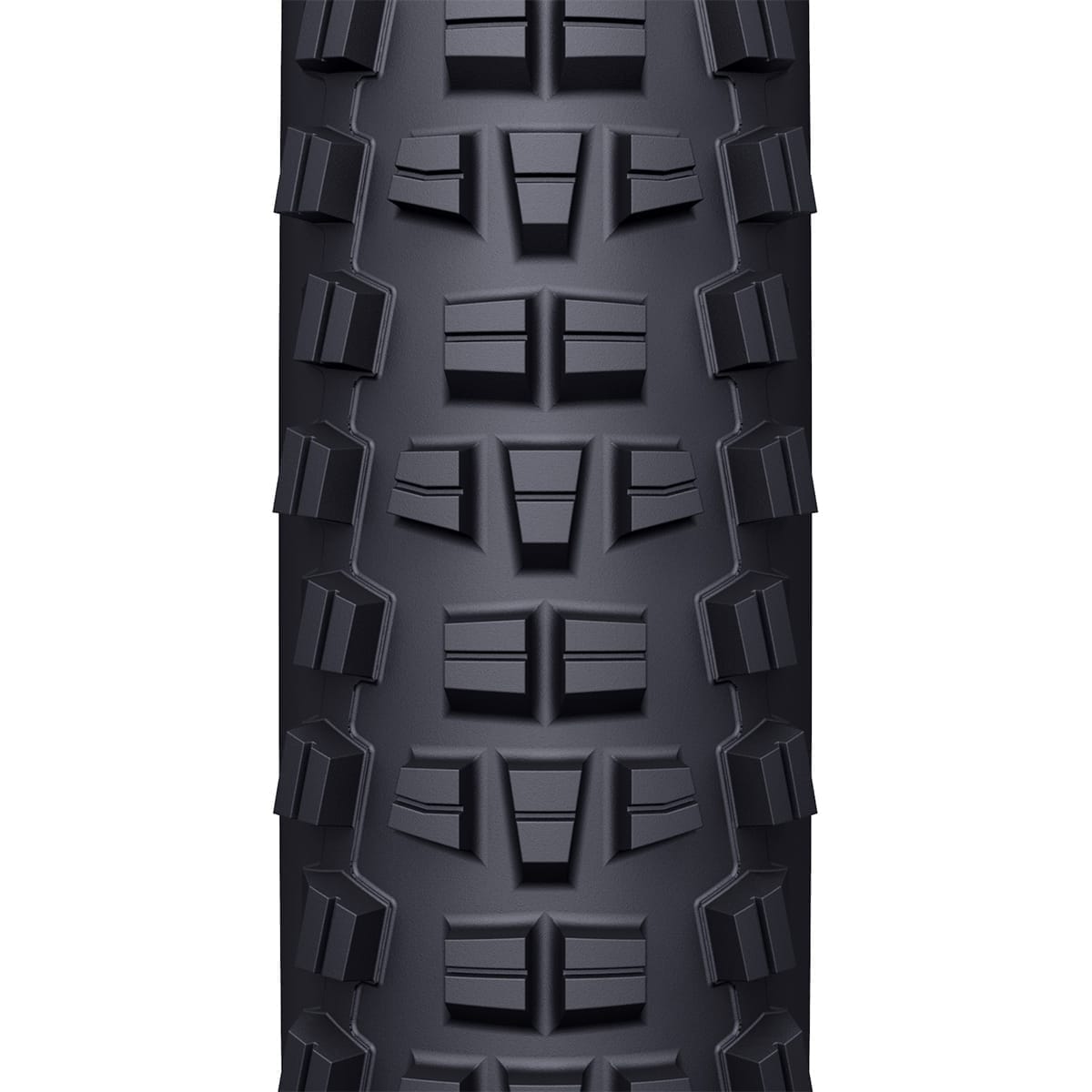 Pneu WTB TRAIL BOSS 29x2,25 TCS Light Tubeless Ready Souple W010-0887