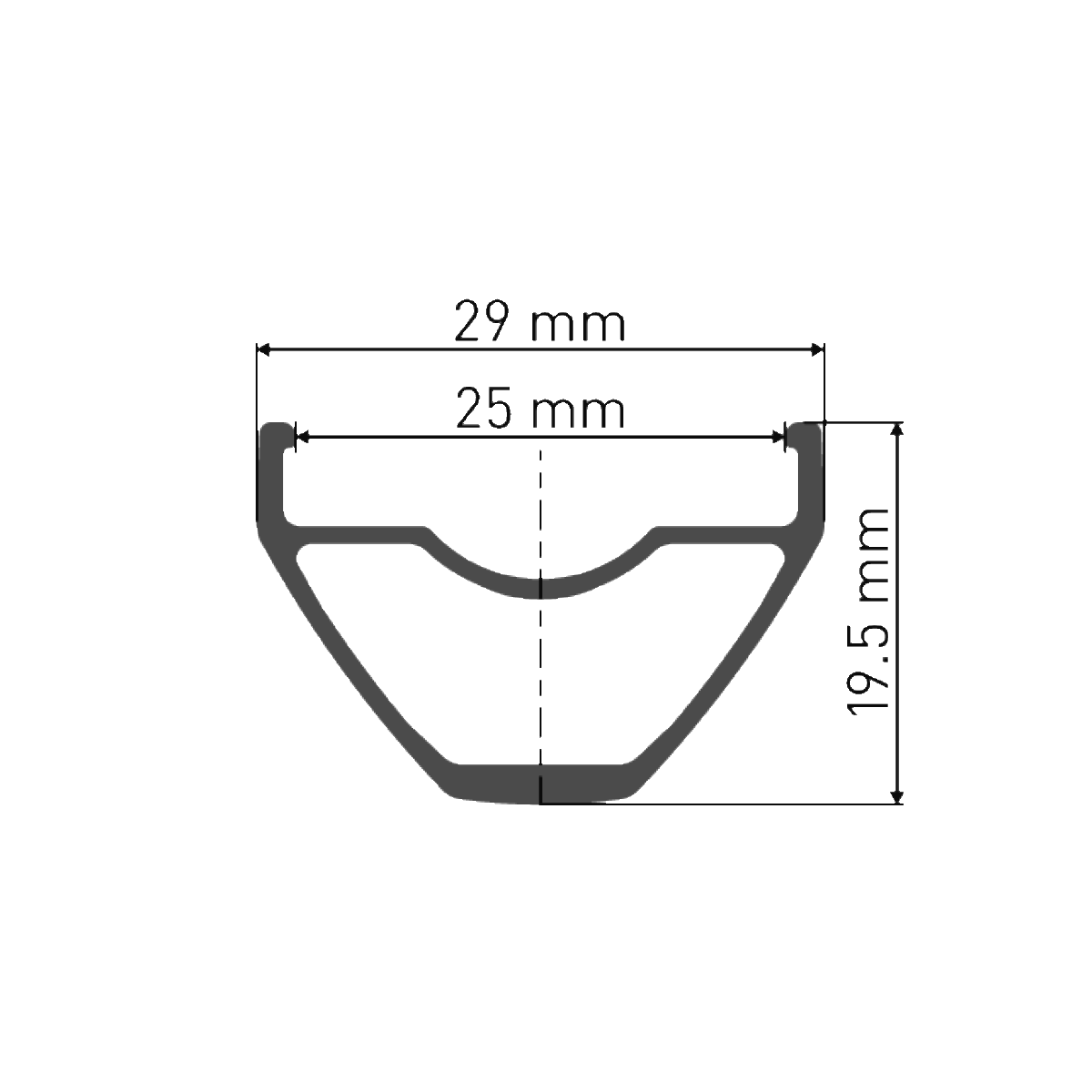 Rueda delantera DT SWISS X 1900 SPLINE 25 mm 29" 15x100 mm