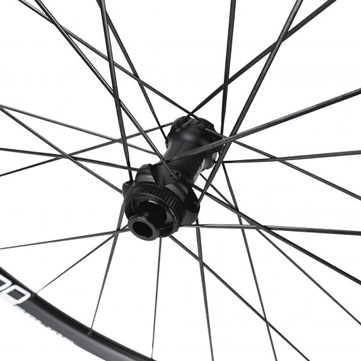 Rueda trasera DT SWISS E 1800 SPLINE 23 DISC con neumáticos (Center Lock)