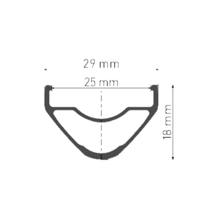 Rueda Delantera DT SWISS XR 1700 SPLINE 25 mm 29" 15x110 mm Boost