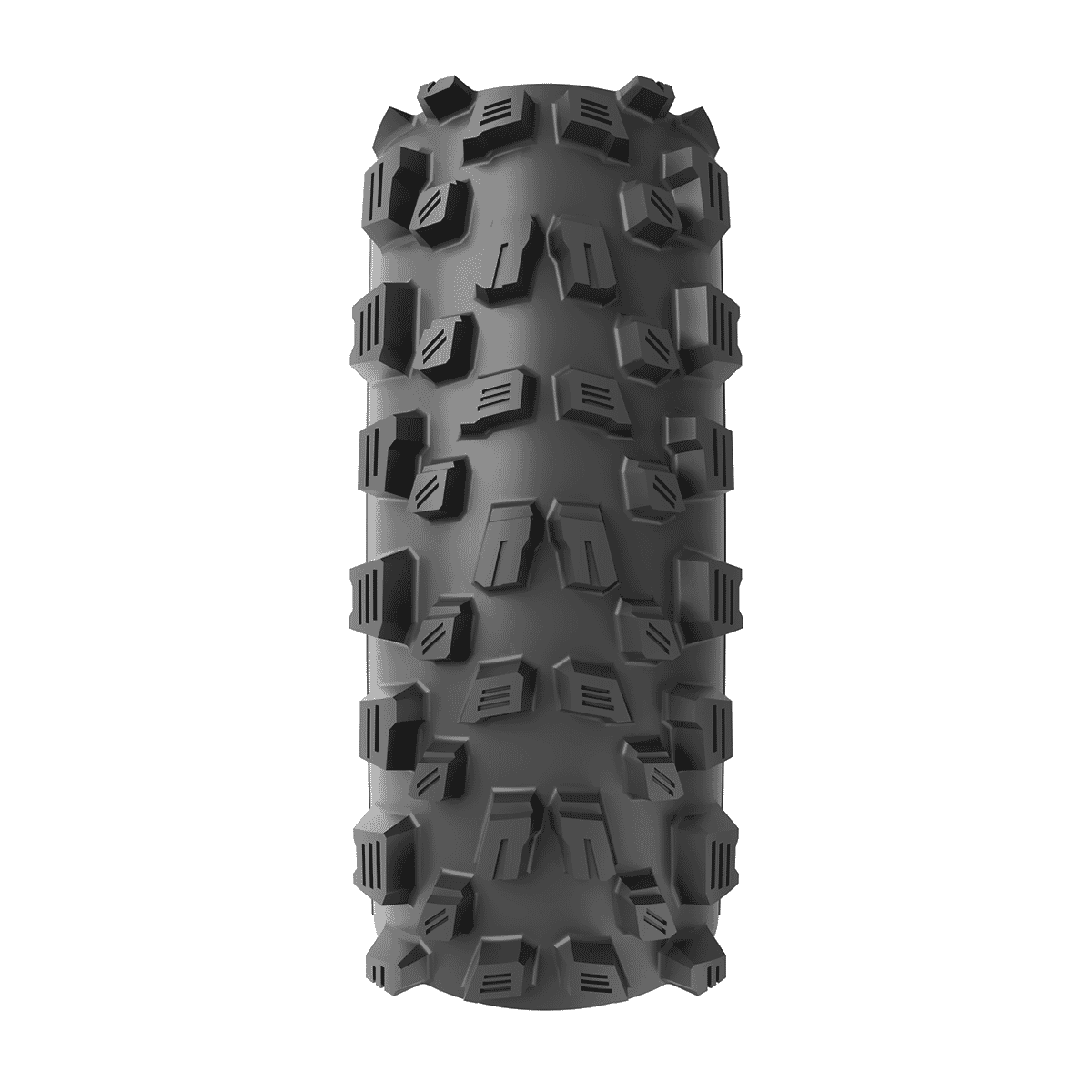 Pneu VITTORIA E-AGARRO TRAIL 29x2,60 TNT 4C Graphene 2.0 Tubeless Ready Souple Flancs Gris