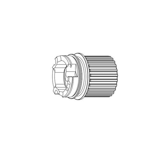 Rueda libre CAMPAGNOLO Tipo SHIMANO Microspline 12V