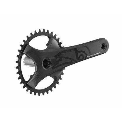 Pedalier 13V CAMPAGNOLO EKAR GT
