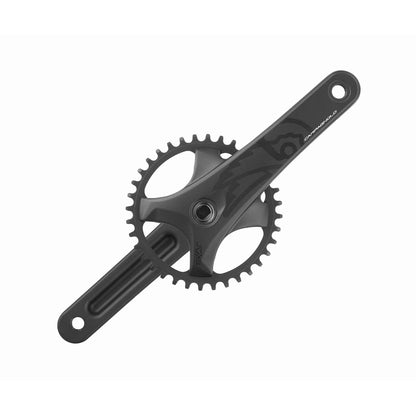 Pedalier 13V CAMPAGNOLO EKAR GT