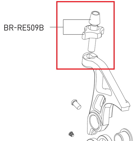 Tornillo de ajuste de la tensión del cable para el cambio CAMPAGNOLO SR/Record 12V