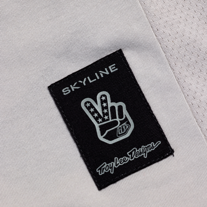 Maillot TROY LEE DESIGNS SKYLINE RIDE TEE SIGNATURE Mangas Largas Gris