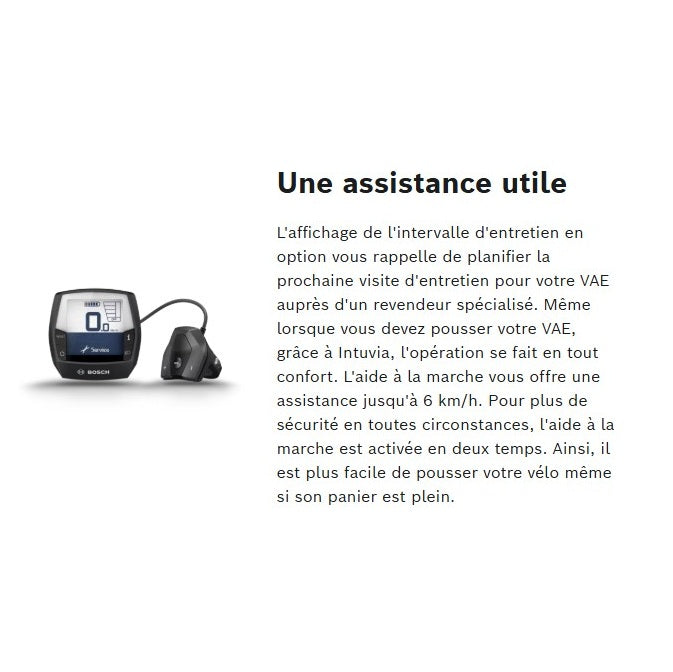 Pantalla BOSCH INTUVIA Gris
