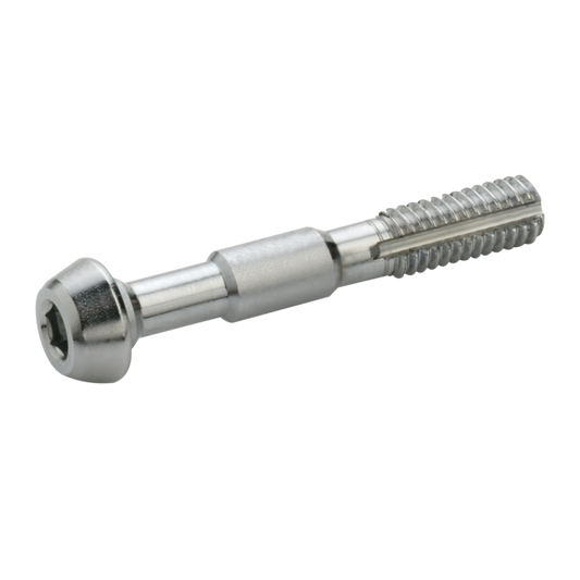 Juego de 2 tornillos ELVEDES M6 para Shimano Banjo