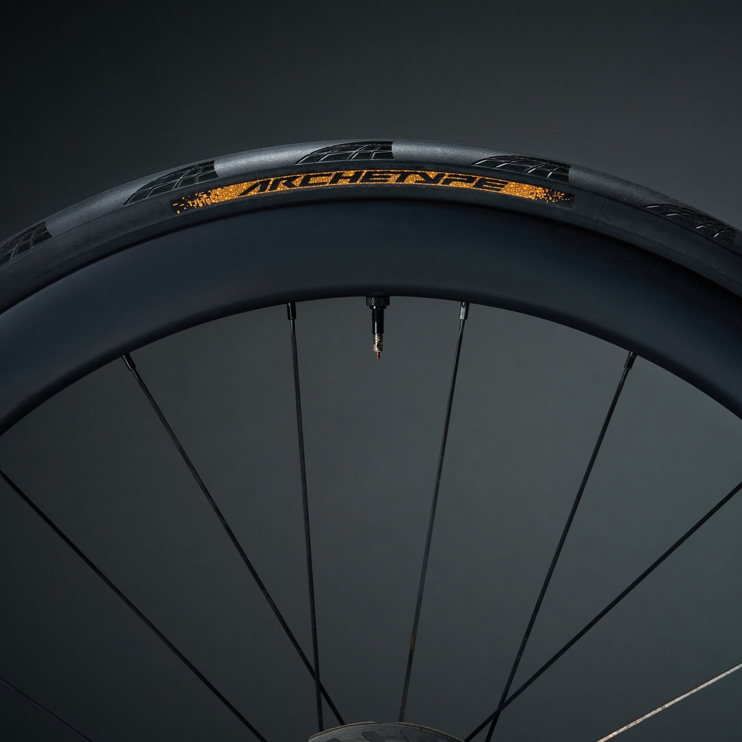 CONTINENTAL ARCHETYPE TDF 2025 700x30c Tubeless Ready Neumático negro - Edición limitada