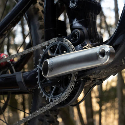 Manivelas CANE CREEK EEWINGS ALL ROAD 8 Tornillos Titanio