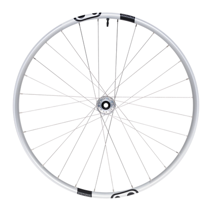 Rueda Delantera CRANKBROTHERS SYNTHESIS Aluminium 2.0 E-BIKE I9 29" 15x110 mm Boost Plata