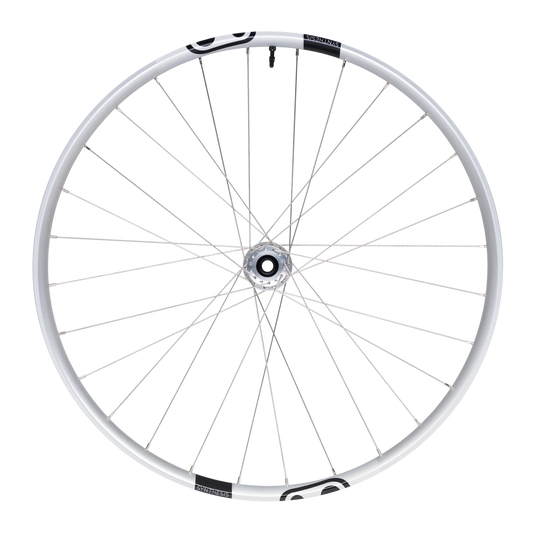 Rueda delantera CRANKBROTHERS SYNTHESIS Aluminio 2.0 DH I9 29" 12x120 mm Plata