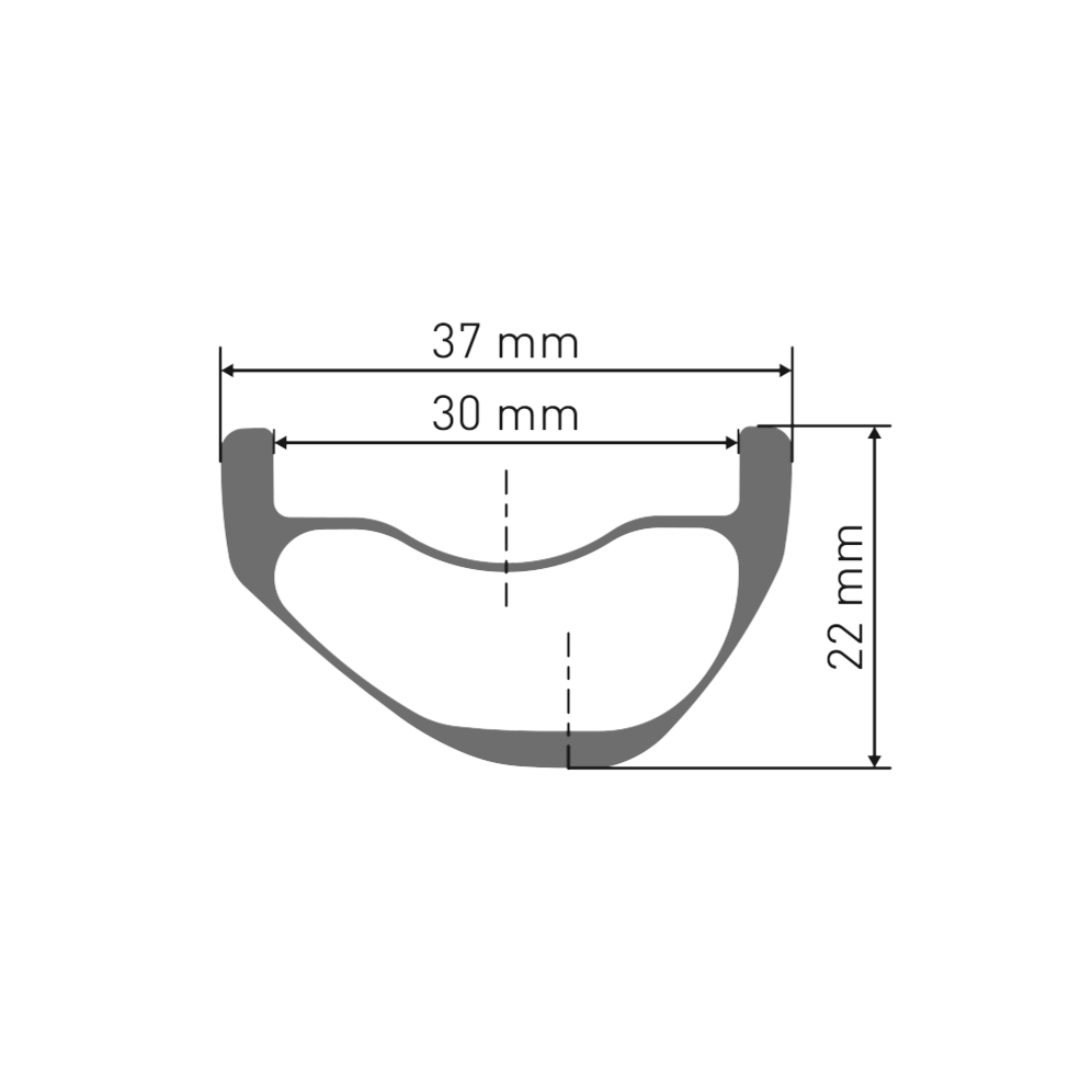 Rueda delantera DT SWISS EXC 1200 CLASSIC 30 mm 29" 15x110 mm Boost