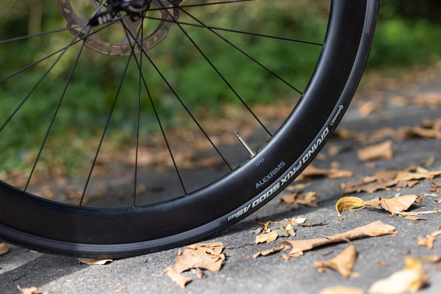 Neumático CONTINENTAL GRAND PRIX 5000 ALL SEASON 700x28c Tubeless Ready Negro