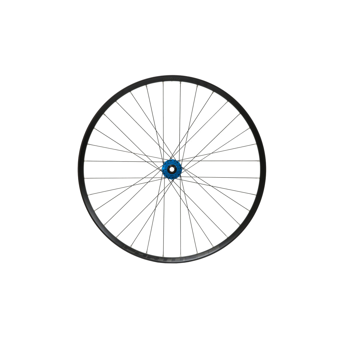 Rueda delantera HOPE Fortus 35 W de 29 pulgadas, buje Pro 5 azul