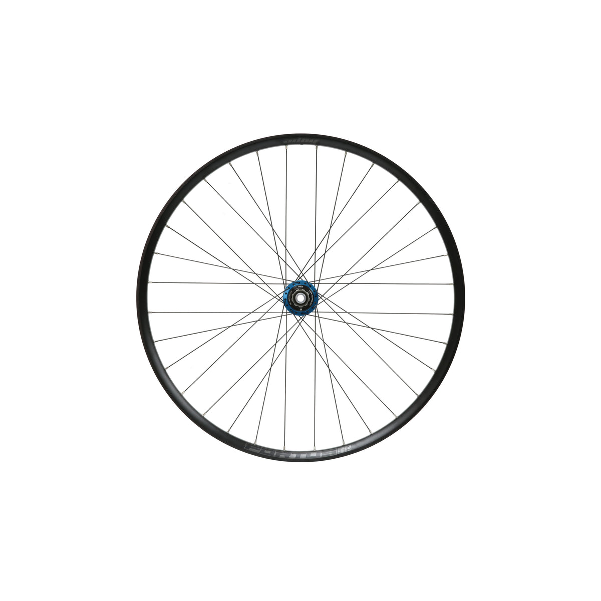 Rueda trasera HOPE Fortus 30 W SC de 29 pulgadas, buje Pro 5 azul