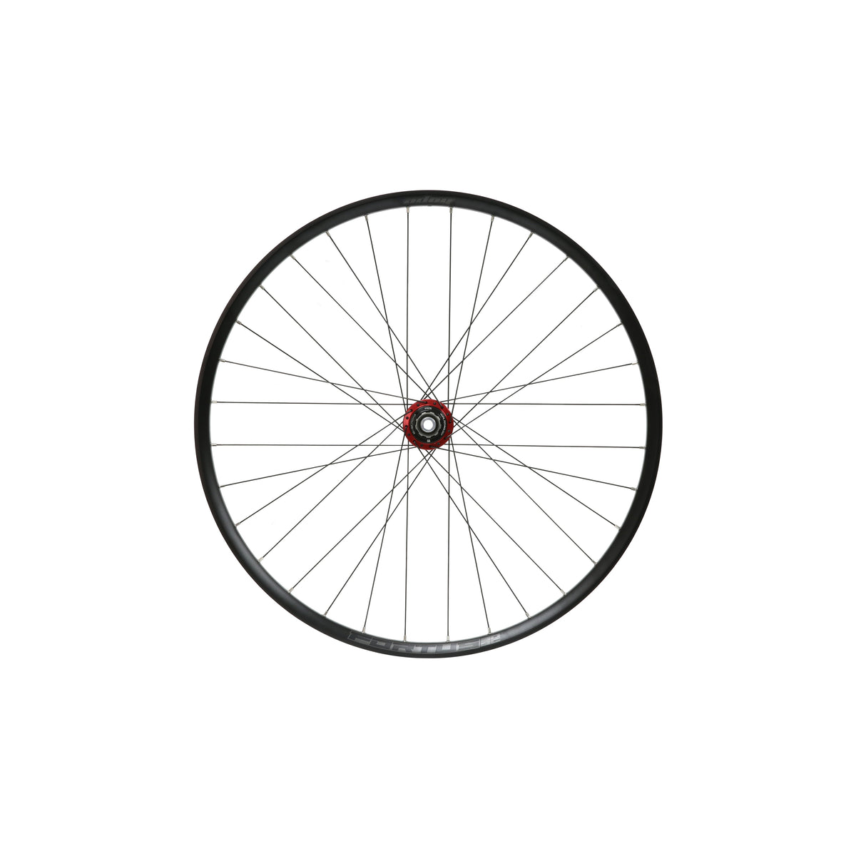 Rueda trasera HOPE Fortus 30 W SC de 29 pulgadas, buje Pro 5 rojo