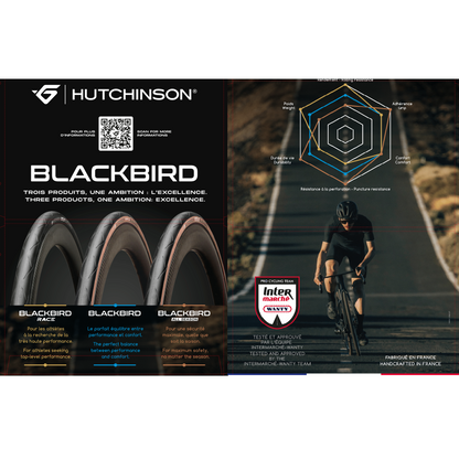 Neumático HUTCHINSON BLACKBIRD ALLSEASON 700c TubeType Marrón