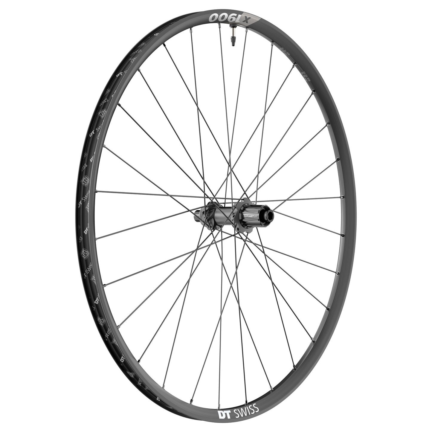 Rueda trasera DT SWISS X 1900 SPLINE 25 mm 29" 12x148 mm