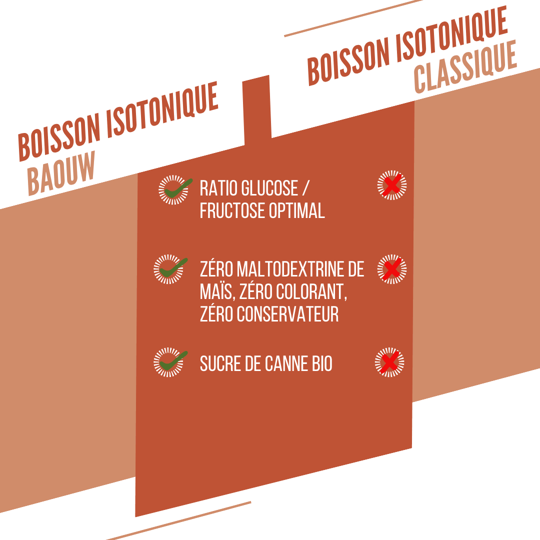 BAOUW ISOTONIC Bebida Energética (45g) Melocotón/Rosmillo