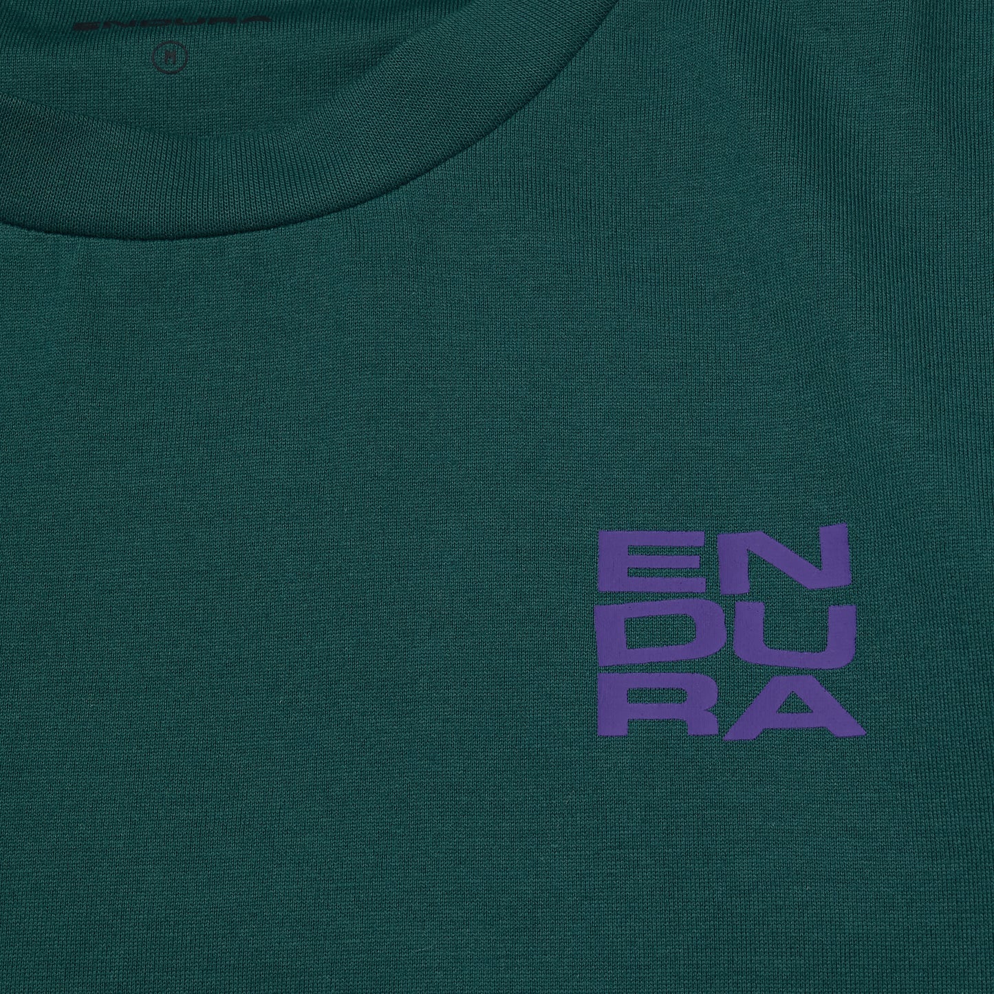 Camiseta ENDURA STACKED LOGO GRAPHIC Teal